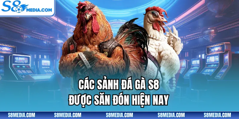 Đá Gà S8 - Sân Chơi Trực Tuyến Kịch Tính, Kèo Hấp Dẫn - BORIX