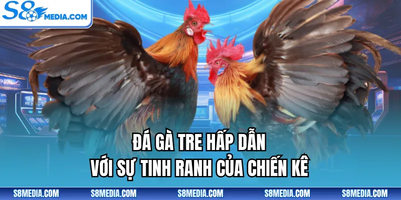 Đá Gà Tre | Theo Dõi Các Lượt Trận Tranh Tài Đỉnh Cao - BORIX