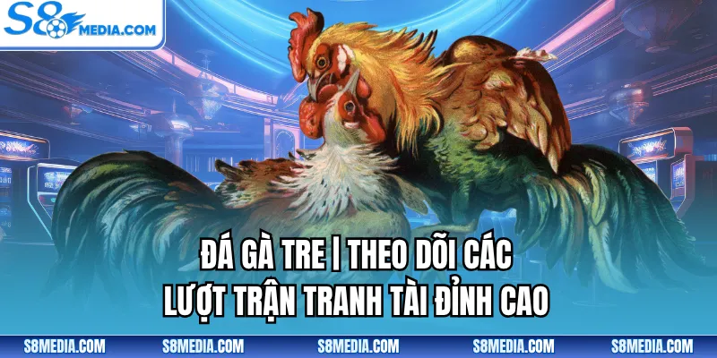 Đá Gà S8 - Sân Chơi Trực Tuyến Kịch Tính, Kèo Hấp Dẫn - BORIX