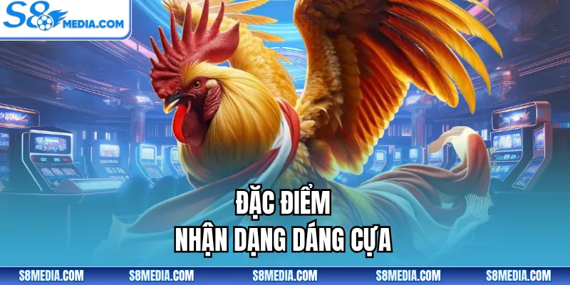 Cựa Thượng Áp Hạ | Đặc Điểm Giúp Xác Định Đúng Thần Kê - BORIX