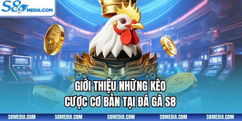 Đá Gà S8 - Sân Chơi Trực Tuyến Kịch Tính, Kèo Hấp Dẫn - BORIX