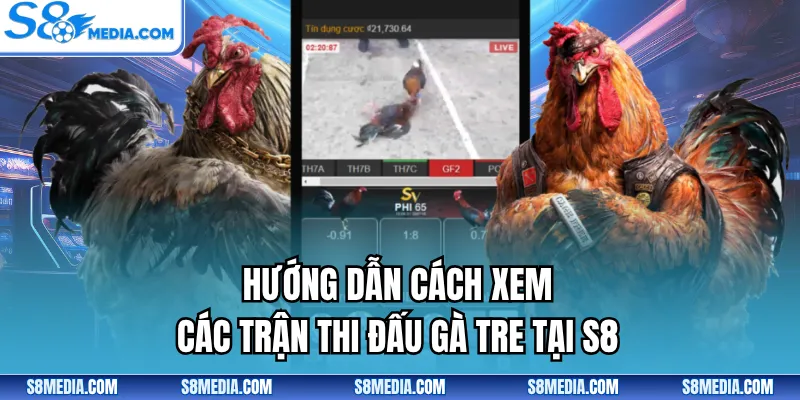 Đá Gà Tre | Theo Dõi Các Lượt Trận Tranh Tài Đỉnh Cao - BORIX