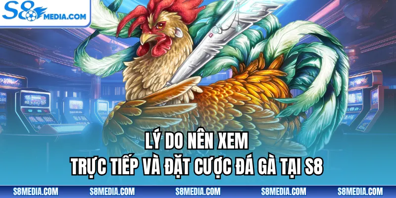 Đá Gà Tre | Theo Dõi Các Lượt Trận Tranh Tài Đỉnh Cao - BORIX