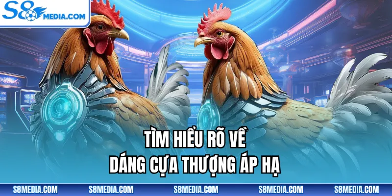 Cựa Thượng Áp Hạ | Đặc Điểm Giúp Xác Định Đúng Thần Kê - BORIX
