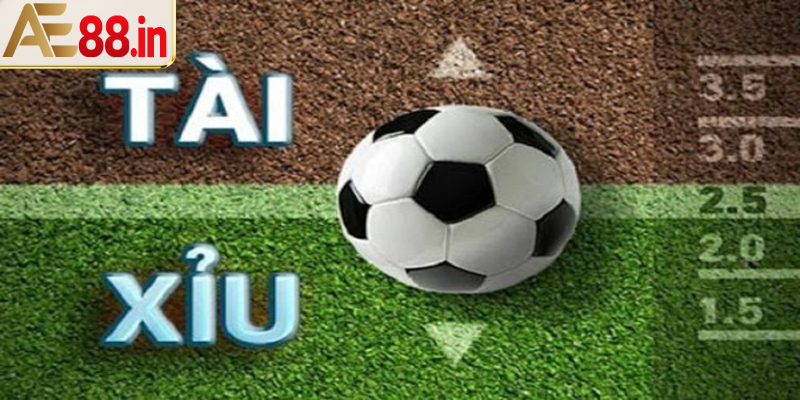 Kèo Tài Xỉu Là Gì – Mẹo Chọn Tài Hay Xỉu Hay Đến Từ Chuyên Gia Cá Độ - BORIX