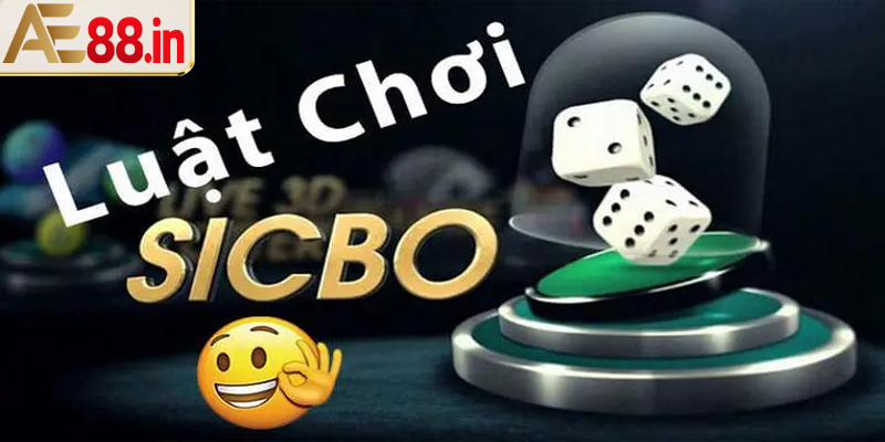 Chơi Ngay Sicbo Tài Xỉu Khiến Hàng Nghìn Người Chơi Mê Mẩn Mỗi Ngày - BORIX
