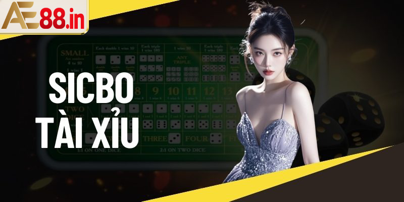 Chơi Ngay Sicbo Tài Xỉu Khiến Hàng Nghìn Người Chơi Mê Mẩn Mỗi Ngày - BORIX