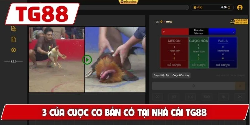 Đá Gà Cựa Dao Luck8 Siêu Phẩm Gà Chiến Nhanh Chóng Dũng Mãnh - BORIX