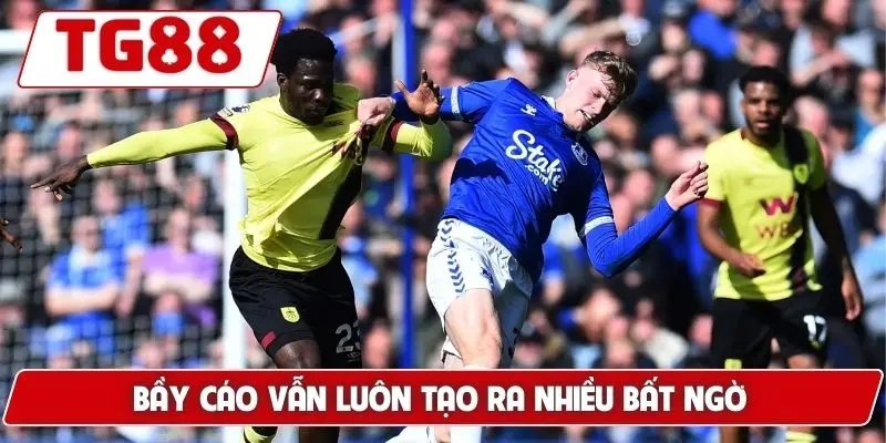 Leicester City: Kèo Cược Leicester City Tại TG88 Hôm Nay - BORIX