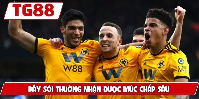 Wolverhampton Wanderers: Tin Tức Và Kèo Cược Wolver Tại TG88 - BORIX Wolverhampton Wanderers: Tin Tức Và Kèo Cược Wolver Tại TG88 - BORIX