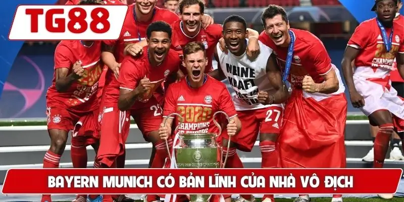 Bayern Munich Cập Nhật Kèo Cược Bayern Munich Đêm Nay Ở TG88 - BORIX