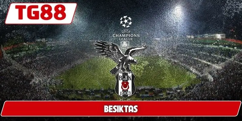 Besiktas: Trận Đấu Và Kèo Cược Besiktas Tại TG88 Hôm Nay - BORIX