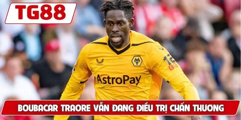 Wolverhampton Wanderers: Tin Tức Và Kèo Cược Wolver Tại TG88 - BORIX Wolverhampton Wanderers: Tin Tức Và Kèo Cược Wolver Tại TG88 - BORIX