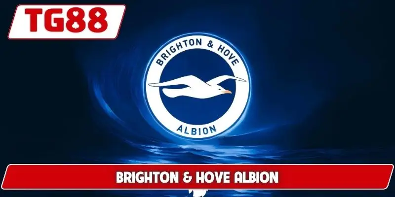 Brighton Và Hove Albion: Cập Nhật Kèo Cược Brighton Tại TG88 - BORIX