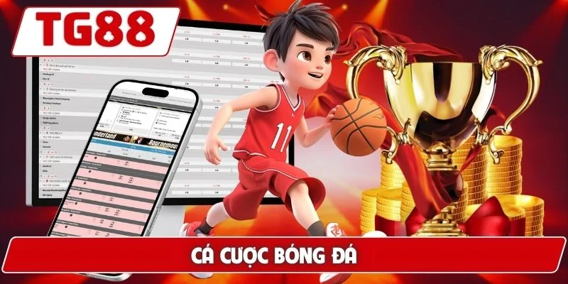 Cá Cược Thể Thao Trực Tuyến Đỉnh Cao Siêu Hấp Dẫn Tại TG88 - BORIX Cá Cược Thể Thao Trực Tuyến Đỉnh Cao Siêu Hấp Dẫn Tại TG88 - BORIX