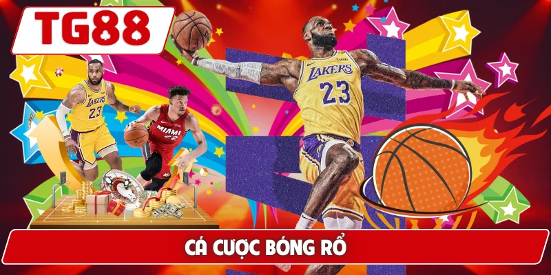 Cá Cược Bóng Rổ Tại TG88 – Thử Thách Mới Cho Cược Thủ - BORIX