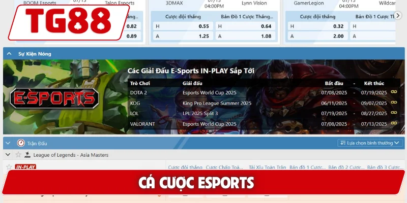 Cá Cược Esports Tại TG88 – Cơ Hội Thắng Lớn Mỗi Ngày - BORIX