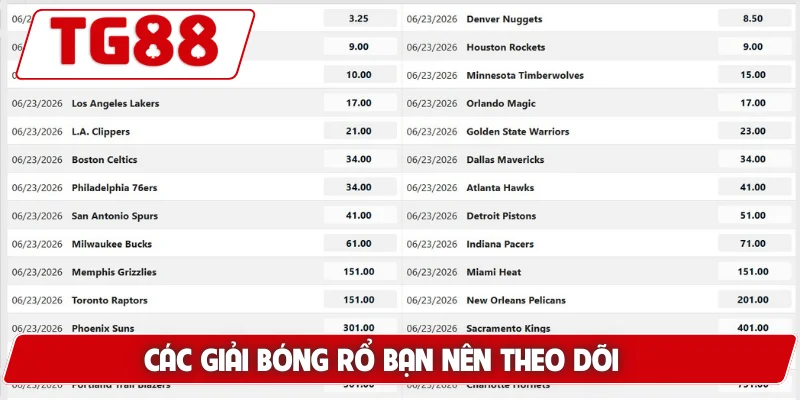 Cá Cược Bóng Rổ Tại TG88 – Thử Thách Mới Cho Cược Thủ - BORIX