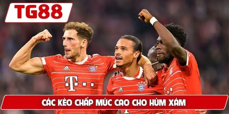 Bayern Munich Cập Nhật Kèo Cược Bayern Munich Đêm Nay Ở TG88 - BORIX