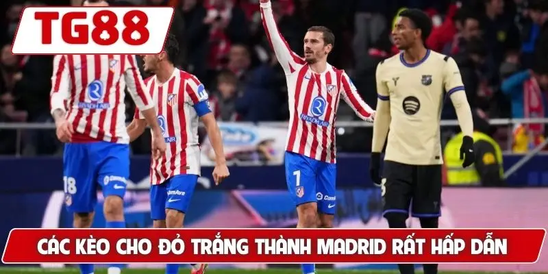 Atletico Madrid: Cập Nhật Kèo Cược Và Tin Tức Về Atletico - BORIX