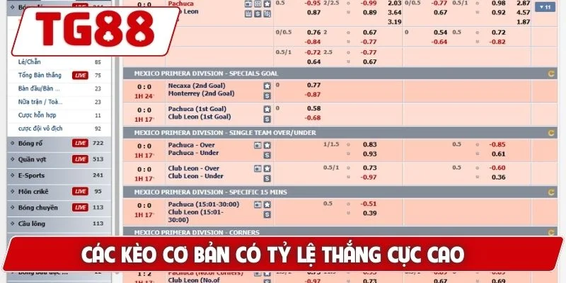 Cá Cược Thể Thao Trực Tuyến Đỉnh Cao Siêu Hấp Dẫn Tại TG88 - BORIX