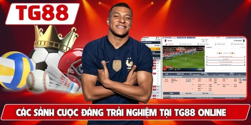 Cá Cược Thể Thao Trực Tuyến Đỉnh Cao Siêu Hấp Dẫn Tại TG88 - BORIX