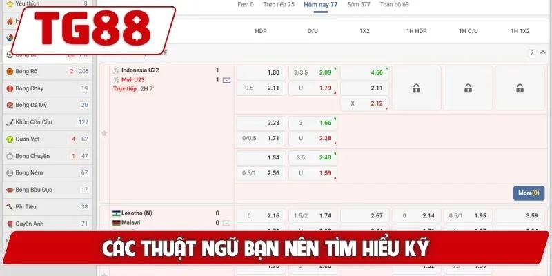 Cá Cược Bóng Đá Trực Tuyến Tại TG88 - Tỷ Lệ Kèo Hấp Dẫn - BORIX Cá Cược Bóng Đá Trực Tuyến Tại TG88 - Tỷ Lệ Kèo Hấp Dẫn - BORIX