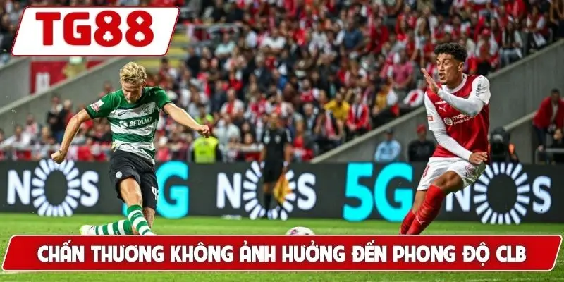 Sporting CP: Kèo Cược Và Tin Tức Mới Nhất Cập Nhật Tại TG88 - BORIX Sporting CP: Kèo Cược Và Tin Tức Mới Nhất Cập Nhật Tại TG88 - BORIX