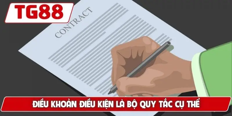 Điều Khoản Điều Kiện TG88 - Các Chuẩn Mực Khi Tham Gia Cược - BORIX