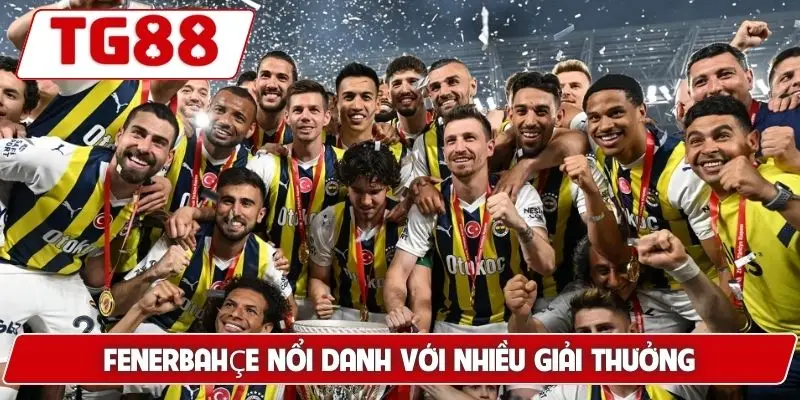Fenerbahçe: Kèo Cược Fenerbahçe Và Tin Tức Mới Nhất TG88 - BORIX