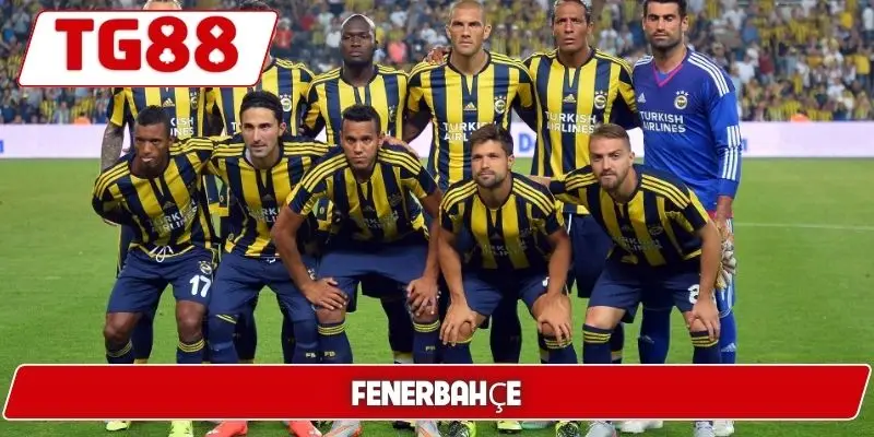 Fenerbahçe: Kèo Cược Fenerbahçe Và Tin Tức Mới Nhất TG88 - BORIX