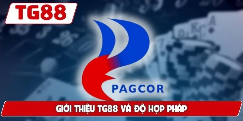 Giới Thiệu TG88 - Nhà Cái Uy Tín Số 1, Tầm Nhìn Dài Hạn - BORIX Giới Thiệu TG88 - Nhà Cái Uy Tín Số 1, Tầm Nhìn Dài Hạn - BORIX