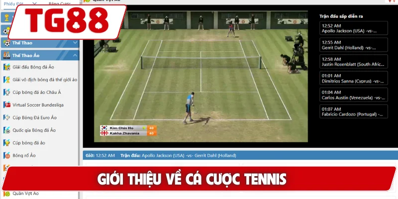 Chơi Cá Cược Tennis TG88 - Trải Nghiệm Tỷ Lệ Cược Cực Cao - BORIX
