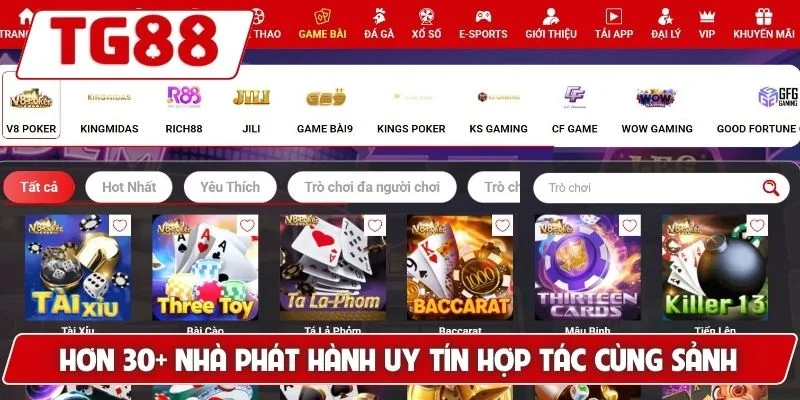 Chơi Game Bài Đổi Thưởng Tại Trang TG88 Đặc Sắc Tỷ Lệ Ăn Cao - BORIX