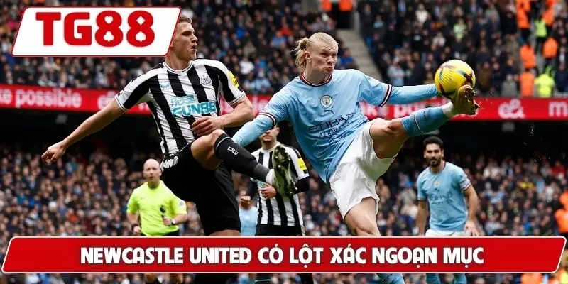 Newcastle United: Cập Nhật Kết Quả Và Kèo Cược Cùng TG88 - BORIX Newcastle United: Cập Nhật Kết Quả Và Kèo Cược Cùng TG88 - BORIX