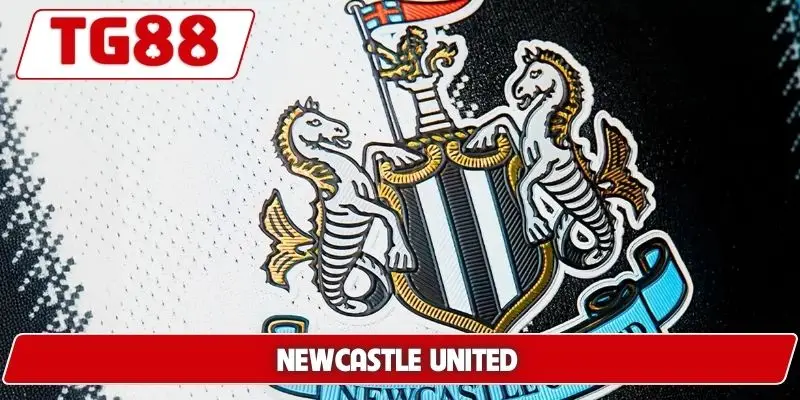Newcastle United: Cập Nhật Kết Quả Và Kèo Cược Cùng TG88 - BORIX Newcastle United: Cập Nhật Kết Quả Và Kèo Cược Cùng TG88 - BORIX