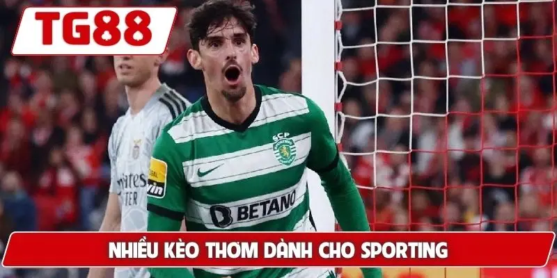 Sporting CP: Kèo Cược Và Tin Tức Mới Nhất Cập Nhật Tại TG88 - BORIX Sporting CP: Kèo Cược Và Tin Tức Mới Nhất Cập Nhật Tại TG88 - BORIX