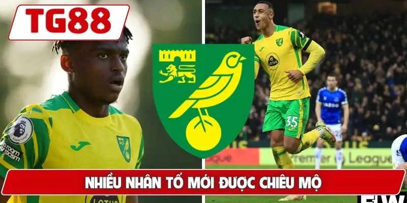 Norwich City: Cập Nhật Tin Tức Và Kèo Cược Mới Nhất Tại TG88 - BORIX Norwich City: Cập Nhật Tin Tức Và Kèo Cược Mới Nhất Tại TG88 - BORIX