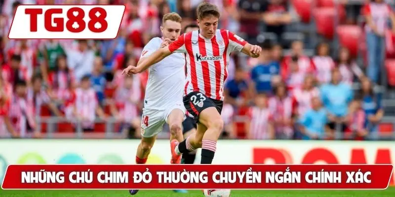 Sevilla FC: Cập Nhật Kèo Cược Sevilla FC Tại TG88 Hôm Nay - BORIX Sevilla FC: Cập Nhật Kèo Cược Sevilla FC Tại TG88 Hôm Nay - BORIX