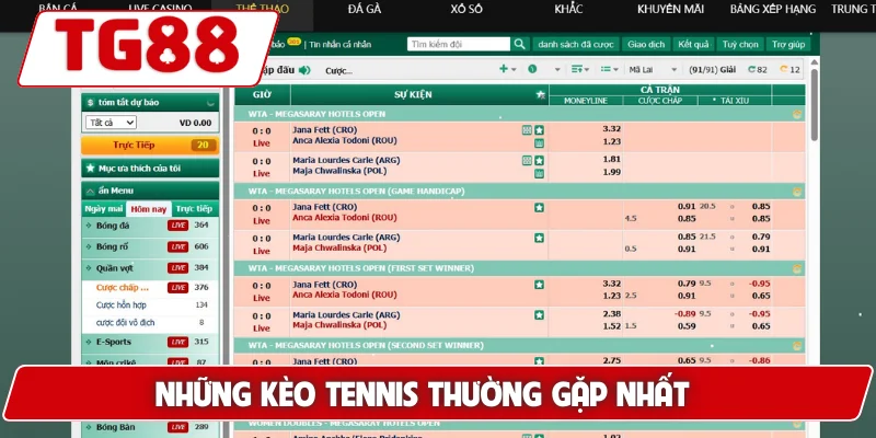 Chơi Cá Cược Tennis TG88 - Trải Nghiệm Tỷ Lệ Cược Cực Cao - BORIX
