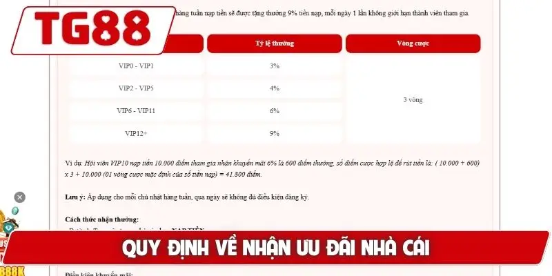 Điều Khoản Điều Kiện TG88 - Các Chuẩn Mực Khi Tham Gia Cược - BORIX