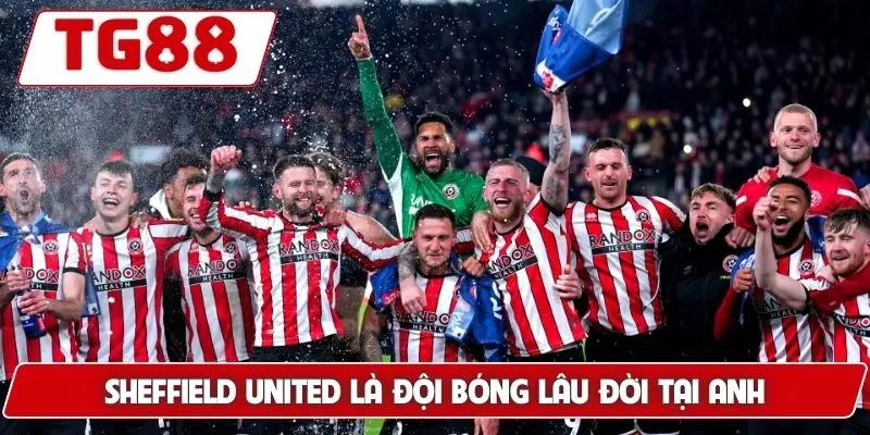 Sheffield United: Cập Nhật Kèo Cược Sheffield United Tại TG88 - BORIX