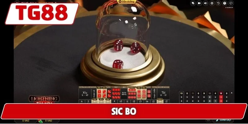 Cược Sic Bo Hấp Dẫn Tại TG88 - Cơ Hội Thắng Lớn Mỗi Ngày - BORIX Cược Sic Bo Hấp Dẫn Tại TG88 - Cơ Hội Thắng Lớn Mỗi Ngày - BORIX