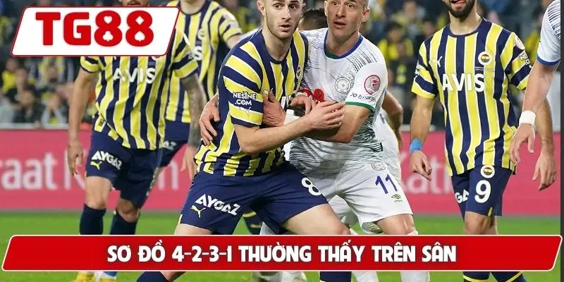 Fenerbahçe: Kèo Cược Fenerbahçe Và Tin Tức Mới Nhất TG88 - BORIX