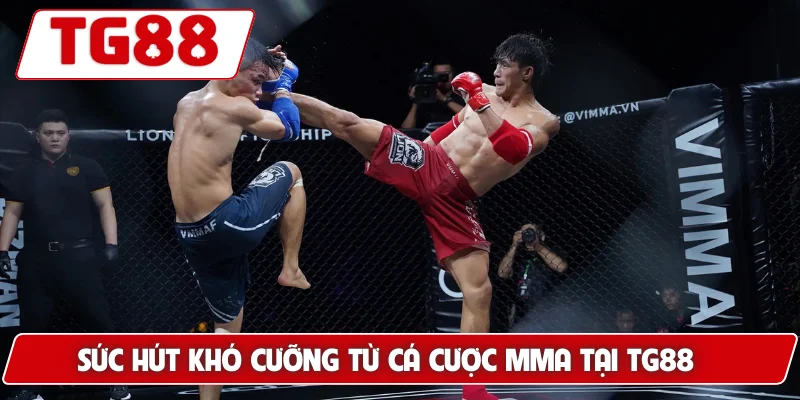 Cá Cược MMA Tại TG88 - Cảm Giác Kịch Tính Và Hồi Hộp - BORIX Cá Cược MMA Tại TG88 - Cảm Giác Kịch Tính Và Hồi Hộp - BORIX
