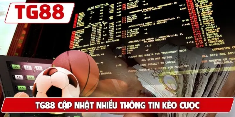 Brighton Và Hove Albion: Cập Nhật Kèo Cược Brighton Tại TG88 - BORIX