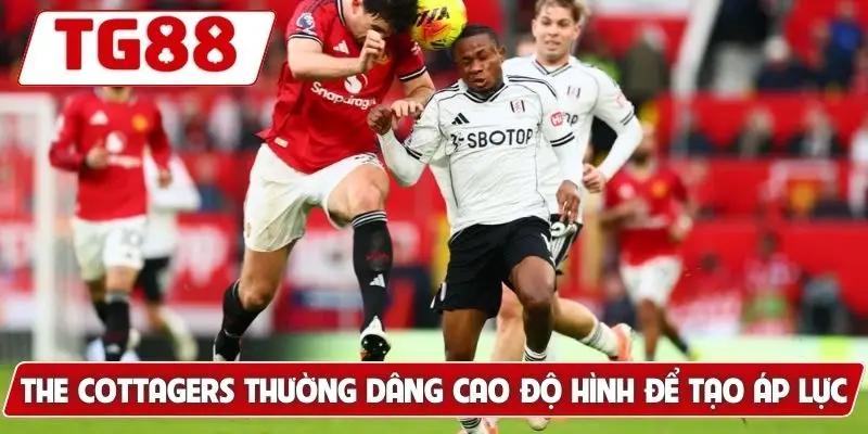 Fulham FC: Kèo Cược Fulham FC Và Cập Nhật Tin Tức 2026 - BORIX Fulham FC: Kèo Cược Fulham FC Và Cập Nhật Tin Tức 2026 - BORIX