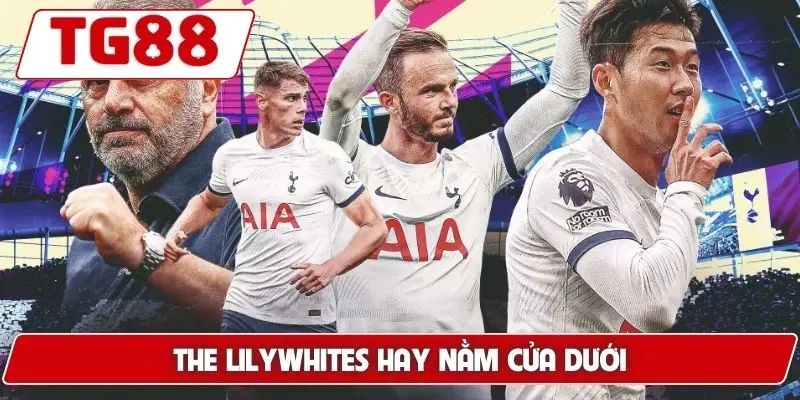 Tottenham: Tin Tức Mới Và Kèo Cược Hôm Nay Tại Nền Tảng TG88 - BORIX Tottenham: Tin Tức Mới Và Kèo Cược Hôm Nay Tại Nền Tảng TG88 - BORIX