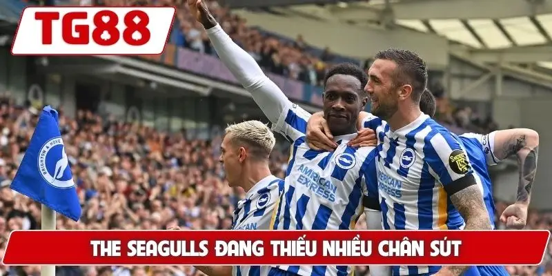 Brighton Và Hove Albion: Cập Nhật Kèo Cược Brighton Tại TG88 - BORIX