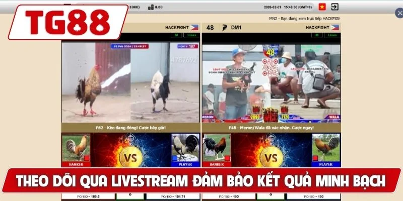 Đá Gà Myanmar - Thế Giới Cá Cược Đỉnh Cao Luck8 - BORIX Đá Gà Myanmar - Thế Giới Cá Cược Đỉnh Cao Luck8 - BORIX